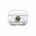 Money Hamster